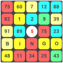 1to9 BINGO