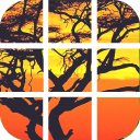 África puzzle