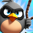 Angry Penguin