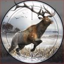 Animal Hunting Season Wild 3d
