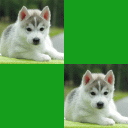 Animal Memory – Brain Game