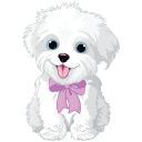 Animal Sounds for Kids Pro