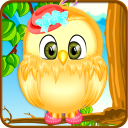 Bird Care And Salon