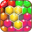 Block Hexa Puzzle