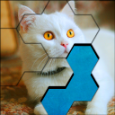Blocks Hexa Jigsaw Puzzle fun™