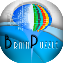Brain Puzzle