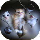 Cat puzzle