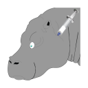 Catch Hippopotamus