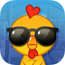 Chat Chicken Team