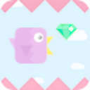 Dashy Bird – Casual