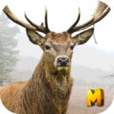 Deer Hunting 3D Sniper Shooter