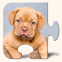 Dogs & Puppies Puzzles