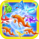 Dolphin Battle