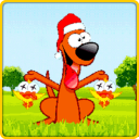 Duck & Bird Hunting