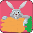 Fast Rabbit