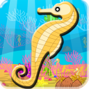 Finding Seahorses