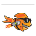 Fish Surf Ocean