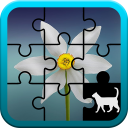 Flower Jigsaw Puzzle