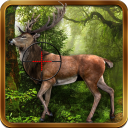 Forest Deer Hunting