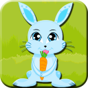 Funny Bunny Crazy Time