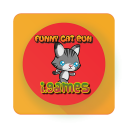 Funny cat Adventure