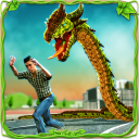 Furious Anaconda Dragon Snake City Rampage