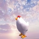 Hen Run