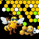 Honey Bee Puzzle