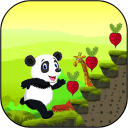 Jungle Panda Run