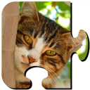 Kittens Jigsaw Puzzle – Free