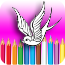 Litle Birds Coloring Book