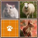 Memory – Animals