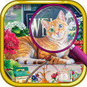 Misfit – Spot the difference game: Offline Puzzle