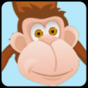 Monkey Fall