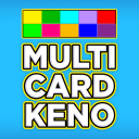 Multi Card Keno – 20 Hand Game