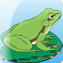 My Pet Frog