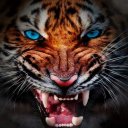 Natural Wonder: Animal Domin.