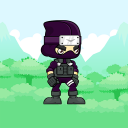 Ninja Run