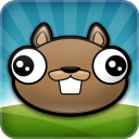 Noogra Nuts – The Squirrel