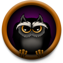 Owl night