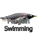Penguin Swimming