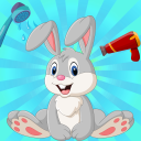 Pet Daycare : Animal Daycare Activities