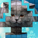 PicPu – Cat Picture Puzzle