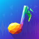 Poly Tune Puzzle