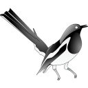 Puzzle Birds