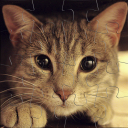 Puzzle Jigsaw Cats 🐱 Offline
