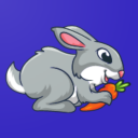Rabbit Carrot
