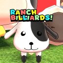 Ranch Billiards!