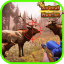 Shooting Animal Sniper Hunting