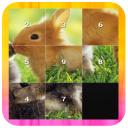 Slide Puzzle – Animal